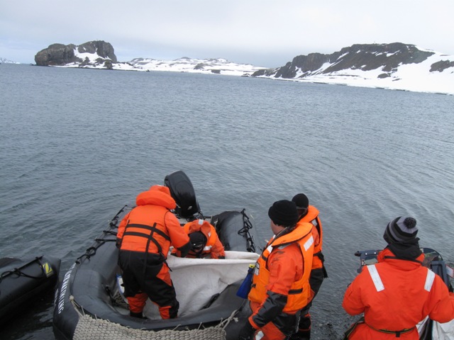 Antartica3