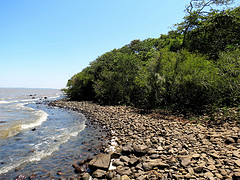 Ilha Chico